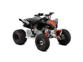 2021 Can-Am DS 90 for sale 201175625